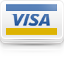 Visa Credit Card Collections Processing
